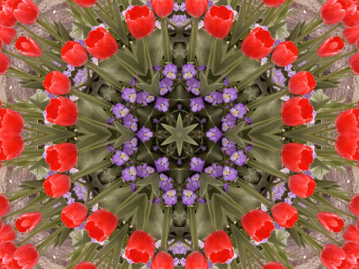 434645 (a): :2400x1800